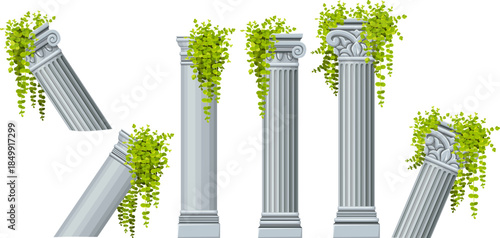 Set of gray columns with creeper coin loosestrife, nummularia. Isolated cartoon pillars for facade decorated moneywort in style of provence. Vector objects for computer games.
