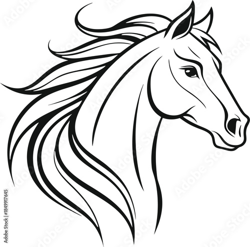 Horse Head Outline Illustration in Minimal Line Art Style