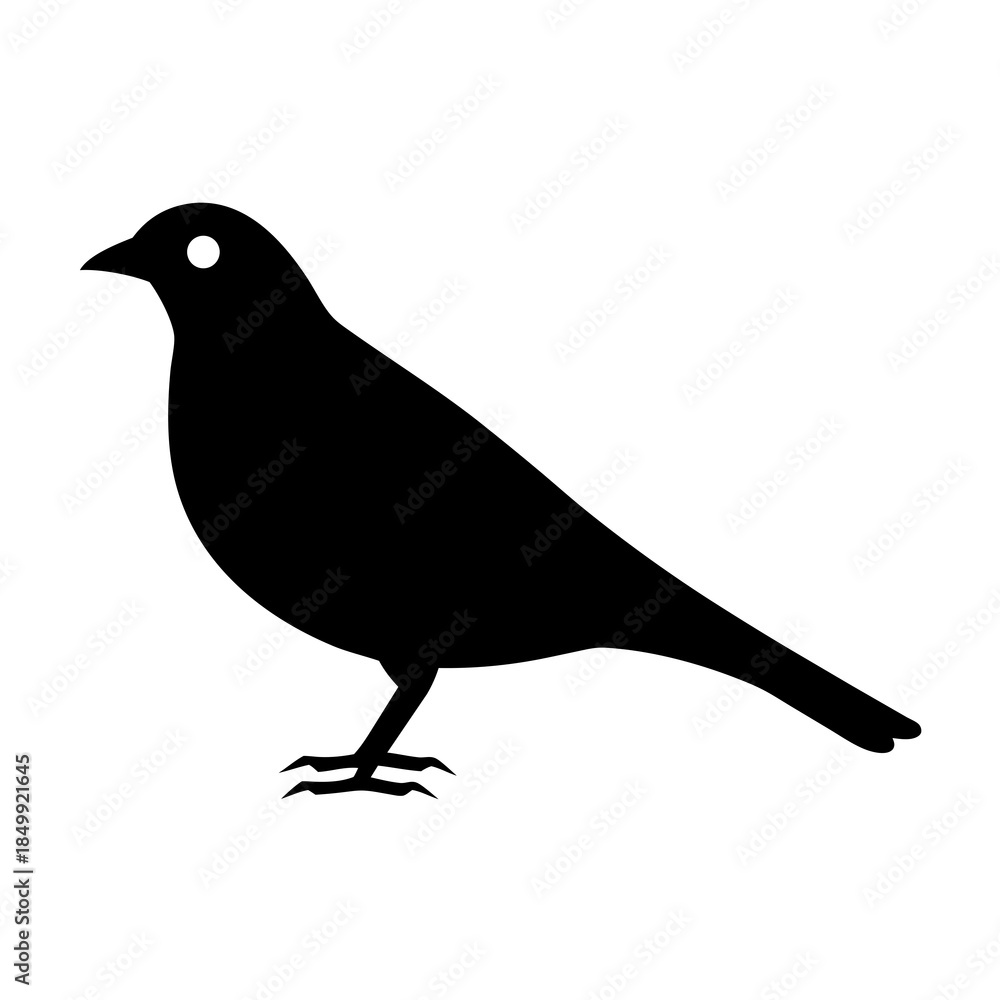 Obraz premium Black silhouette of a small bird standing on its feet in profile