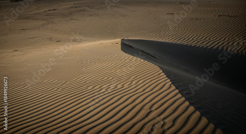 Fototapeta Naklejka Na Ścianę i Meble -  Exquisite Patterns of Sand Dunes Under Soft Evening Light