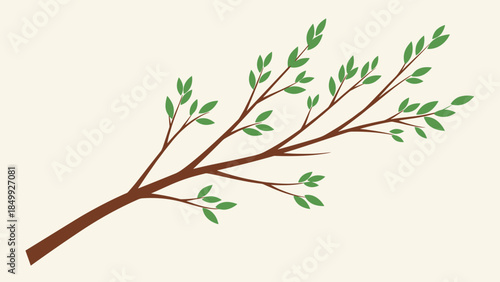 Illustration of a Branch with Green Leaves.