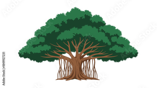 Illustration of a Twin Trunked Tree.
