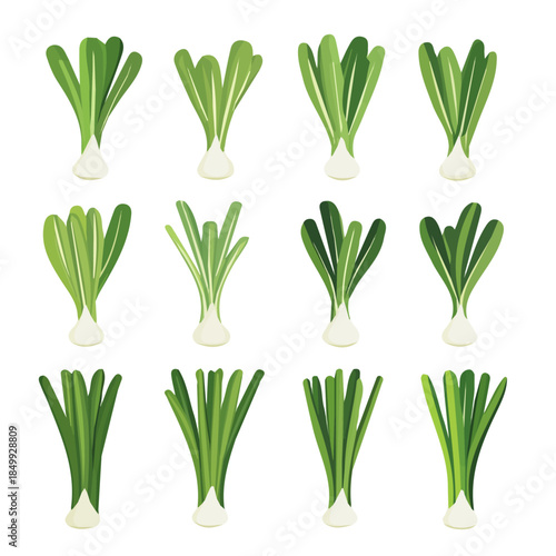 An Imaginary 2D flat icon leeks set, modern element in vector and EPS format, clean vector, isolated on a white background, An Icon clipart set