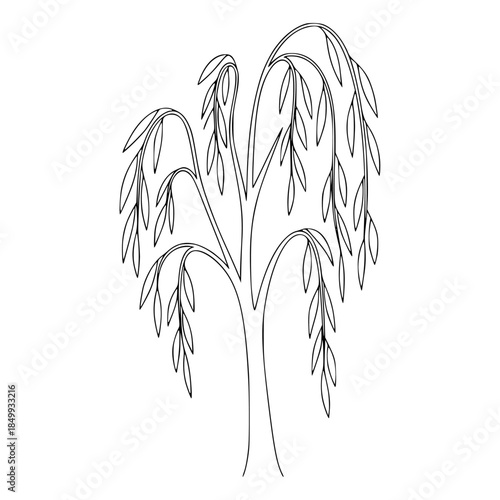 Placeholder image display Vector