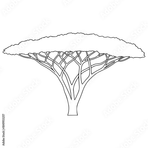 Placeholder image display Vector