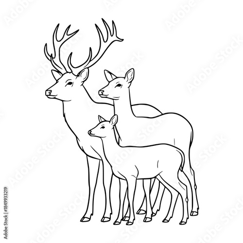 Empty vector file Vector