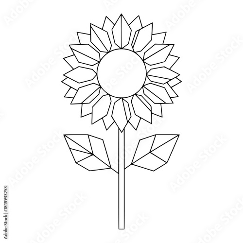 Empty vector file display Vector