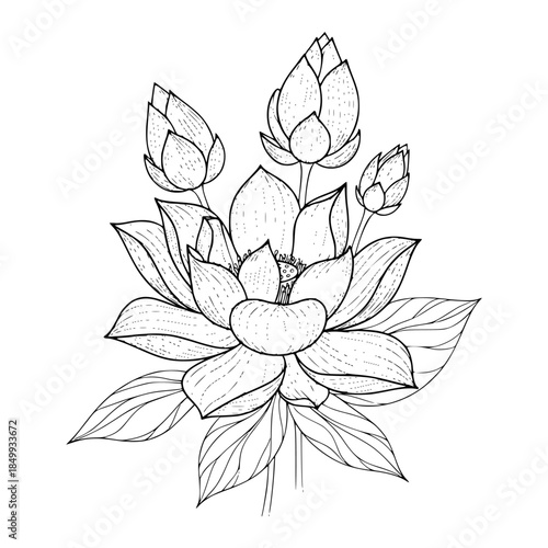 Empty vector file display Vector