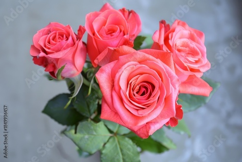 Delicate coral roses create a vibrant bouquet, celebrating the beauty of nature