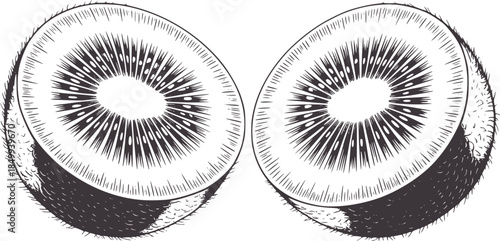 Black and white cross section of tree rings texture in