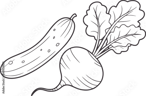 Black and white line of cucumber and radish with leaves