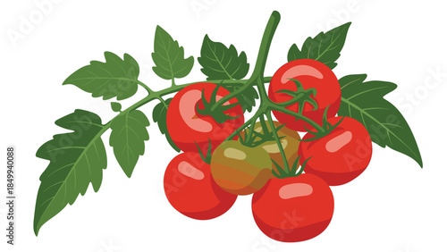 A vibrant cluster of ripe cherry tomatoes hangs from a green vine with lush foliage, showcasing the bounty of a summer harvest.