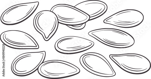 Black and white line sunflower seeds editable outline