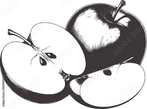 Cross section and whole apple line in monochrome style