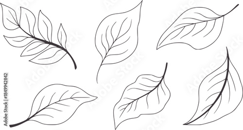 Six different green leaf outlines in monochrome line