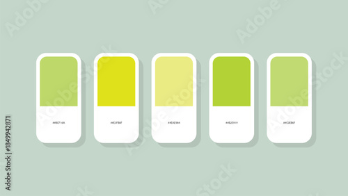 Pastel Spring Color Palette with HEX Codes – Minimal Flat Swatch Design Background
