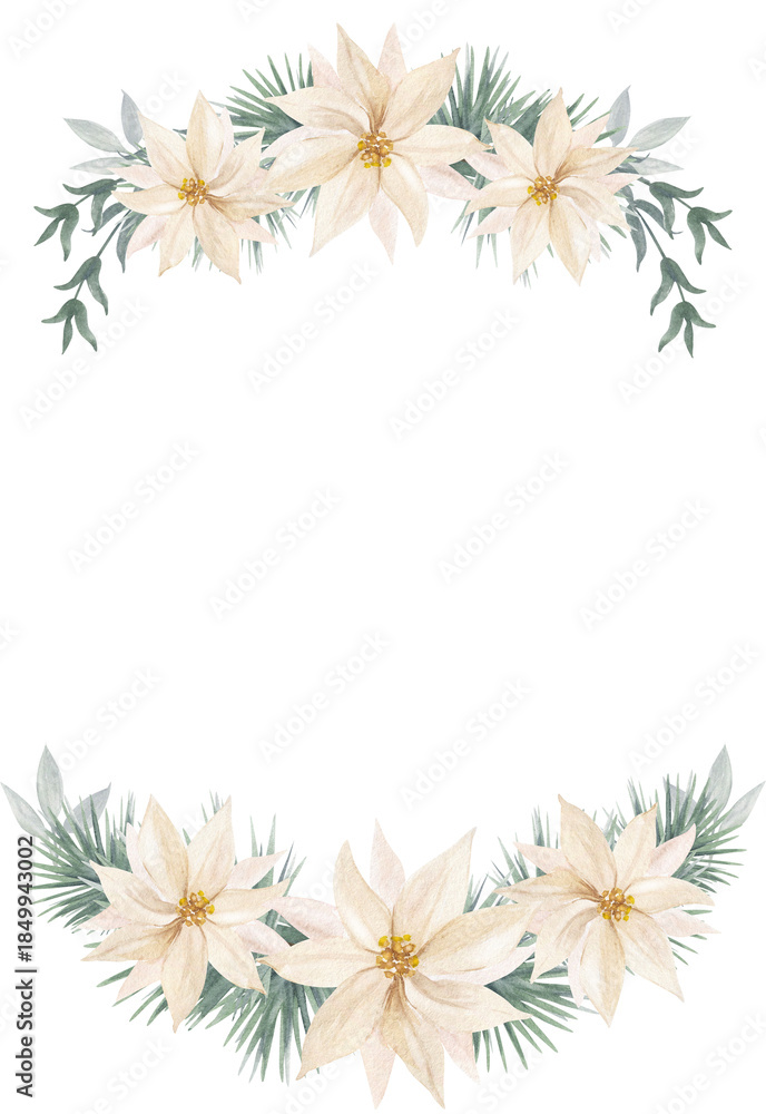 Obraz premium Watercolor winter garland with white poinsettia flowers, pine branches and eucalyptus leaves. Christmas floral arrangement isolated on white background, minimal and elegant.