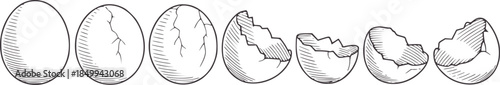 Step by step cracked eggshell hatching process black and white