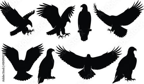 Eagle silhouettes set showing flying, landing, and perched birds of prey poses, wildlife illustration isolated on white background