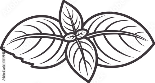 Three green elongated leaves with prominent veins in monochrome line style