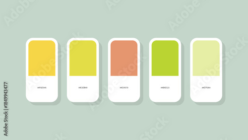 Pastel Spring Color Palette with HEX Codes – Minimal Flat Swatch Design Background