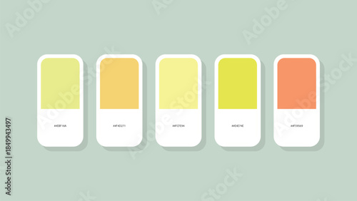 Pastel Spring Color Palette with HEX Codes – Minimal Flat Swatch Design Background