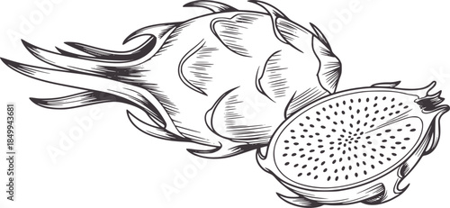 Whole and halved spiky tropical dragon fruit in monochrome