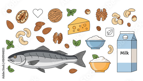 Nutritious foods rich in omega-3 fatty acids, calcium, and protein are displayed in a colorful illustration.