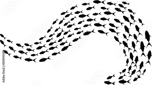School of fish swimming in wave formation on white background