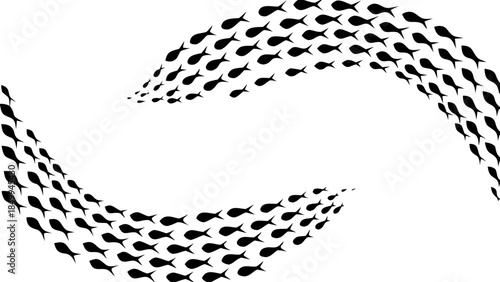 School of fish swim in circular formation on white background