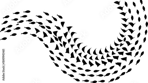 School of fish swimming in unison on white background