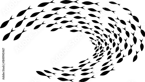 School of fish swimming in circular motion on white background