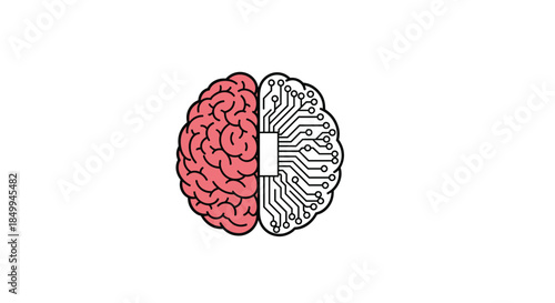 Human brain concept illustration split between biological brain tissue and digital electronic circuits for technology themes.