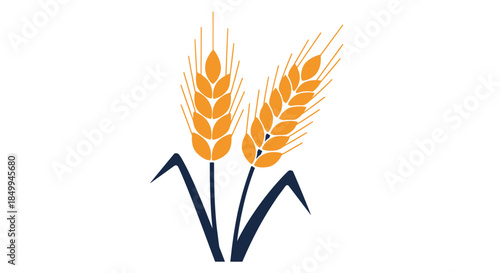 Golden wheat stalks illustration representing agriculture, harvesting, and organic whole grain food production for healthy diets.