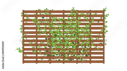 Wooden lattice fence is beautifully covered with lush green climbing vines, creating a natural and decorative garden element.