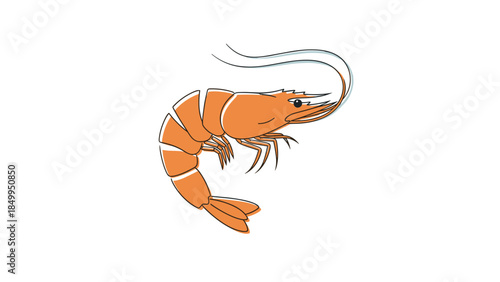 Orange Prawn Illustration on White Background.