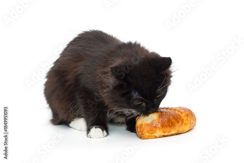 Small black kitten sits and eats a bun