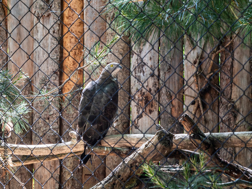Decorative multi step waterfall on the territory of Prague Zoo in Czech Republic