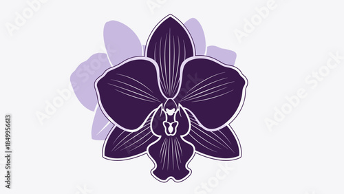Purple Orchid Flower Illustration Design Element.