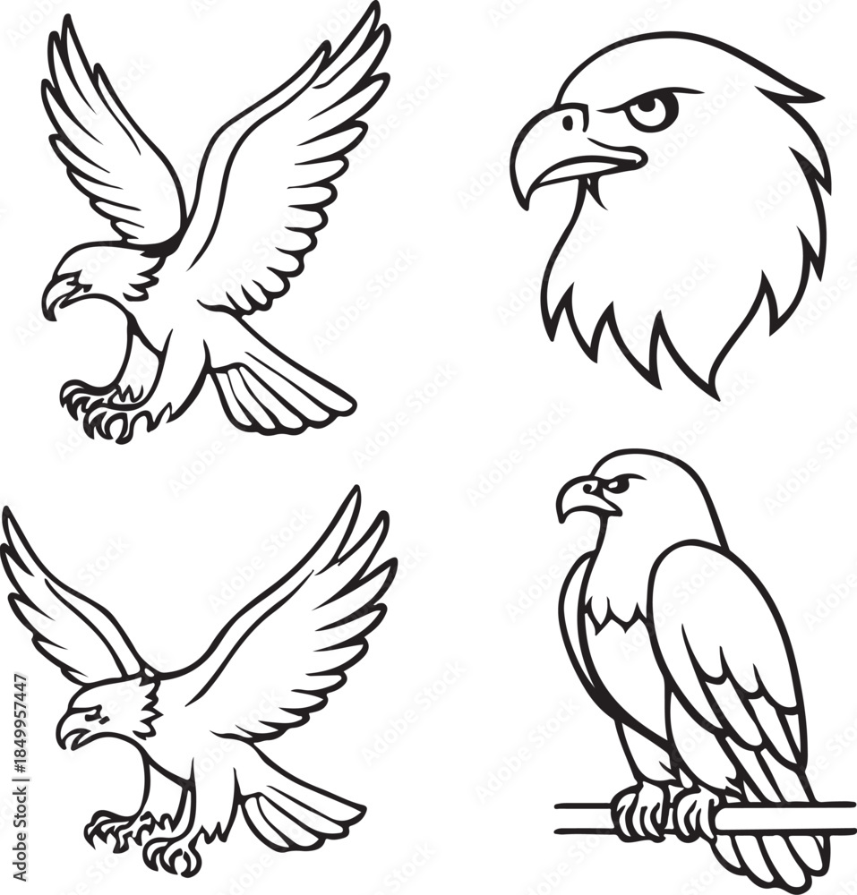 Obraz premium Black and white outline eagles set