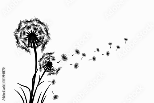 Wild flower dandelion in a vector style isolated