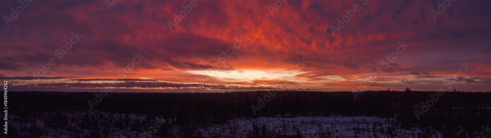 Obraz premium Nordic boreal forest winter sunrise with dramatic vibrant sky