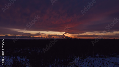 Nordic taiga landscape with boreal winter sunrise