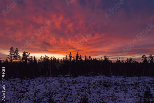 Nordic boreal forest winter sunrise painting dramatic sky