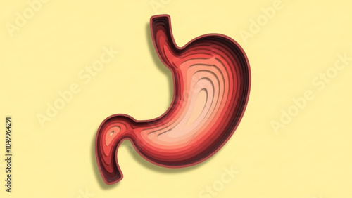 World Digestive Health Day (WDHD) stomach, showcasing the digestive system's anatomy in a creative and unique textured style for medical or educational visuals