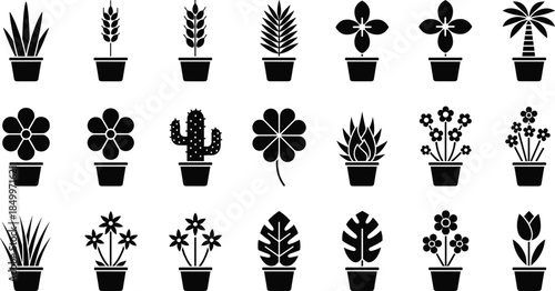 Set of black houseplant silhouettes and flower icons in pots featuring various botanical foliage including succulents cacti palms and floral blossoms isolated on white background