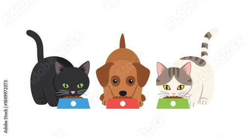 Adorable black cat, brown dog, and grey tabby cat are enjoying their meals from colorful bowls, showcasing pet companionship.