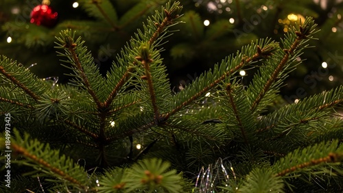 Spruce branches with tinsel and christmas lights