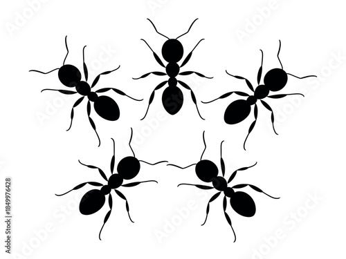 Black Silhouette Ants Isolated White