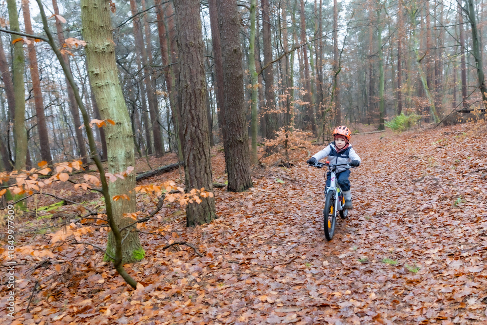 Obraz premium Junge auf dem Fahrrad im herbstlichen Wald